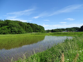 初夏の農村風景