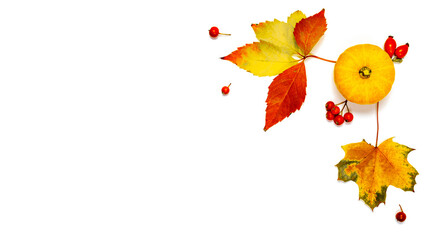 Abstract autumn. Natural food, harvest with orange pumpkin, fall dried leaves, rowan berries isolated on white background. Flat lay, top view, copy space.