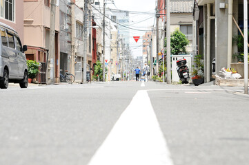 Obraz premium 猫目線