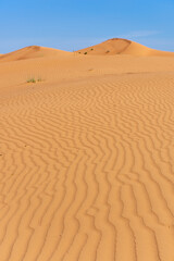 Portrait of sand patterns and blue sky background showing textures and shapes of blowing sand in the desert. Sahara Desert or background Concept.