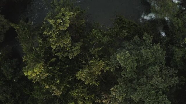 Overhead Drone Shot of a Forest Revealing a Hidden Waterfall.