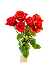 Isolated on white background Red rose flowers