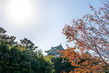 Nagoya castle in autumn. Japan