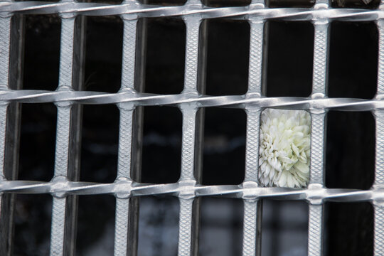 coladera con una flor blanca en japon