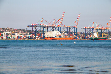 Cargo Ships at Berth in Durban Harbour