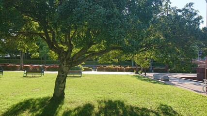 park in the park