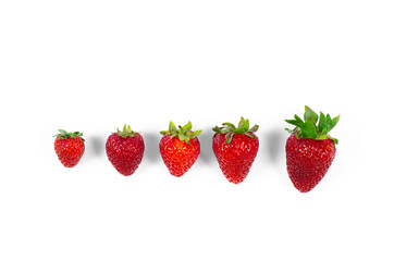 Red fresh strawberry with green tails. Laid out in a row. On white background.