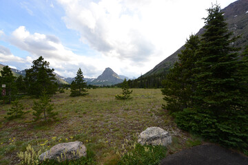 Scenic meadow with view of mountains in Glacier National Park in Montana