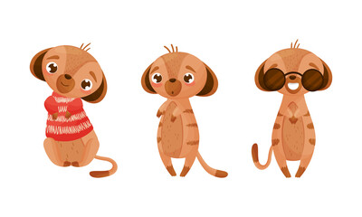 Cute Meerkat or Suricate with Brindled Coat Wearing Sunglasses and Knitted Sweater Vector Set