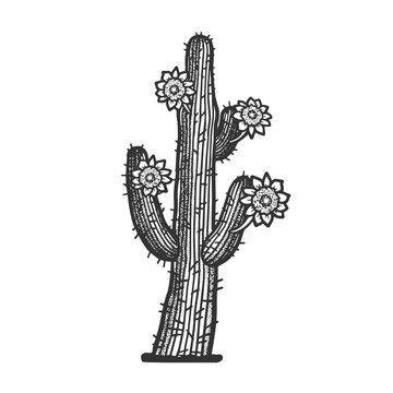 blooming cactus with flowers line art sketch engraving vector illustration. T-shirt apparel print design. Scratch board imitation. Black and white hand drawn image.
