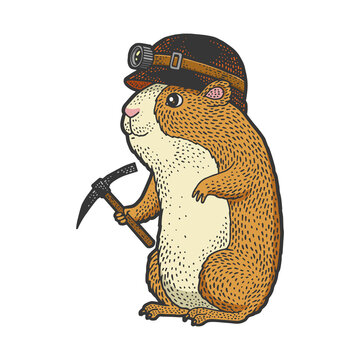 Cartoon Guinea Pig Miner Sketch Raster