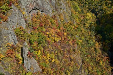 ダムから見おろす豊平峡のカラフルな紅葉情景＠北海道