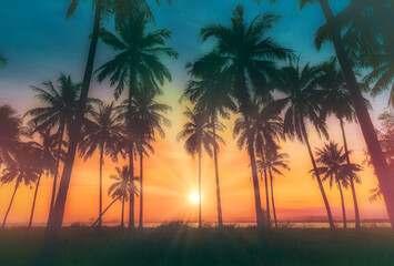 Fototapeta premium Silhouette coconut palm trees on beach at sunset.