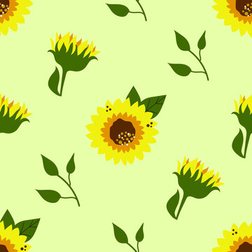Seamless pattern of sunflowers, summer blossom.