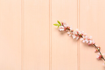 Beautiful blooming branch on color wooden background