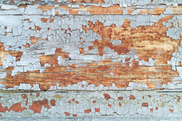 Wooden wall with blue paint peeling.
