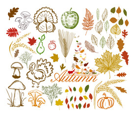 Hello Autumn. A set of autumn items. Vector illustration