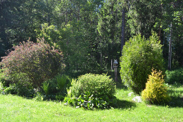 Scenic landscaped park-garden. Beautiful blooming flower summer garden