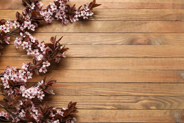 Beautiful blossoming branches on wooden background