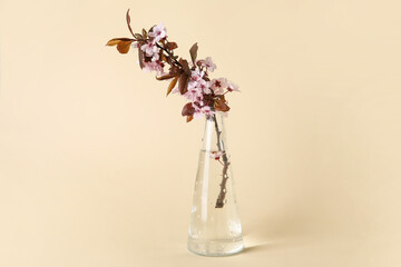 Vase with beautiful blossoming branch on color background