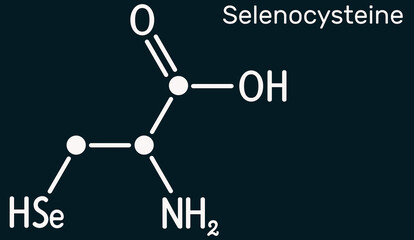 Selenocysteine, L-selenocysteine, Sec, U molecule. It is proteinogenic amino acid, selenium analogue of cysteine, building block of selenoproteins. Dark blue background © bacsica