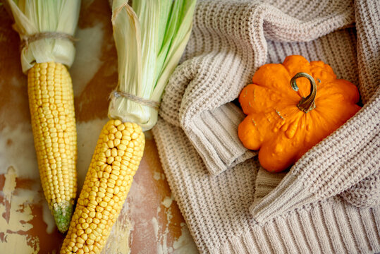 autumn corn on yellow knitted sweater . Cozy autumn atmospheric image. Happy Thanksgiving