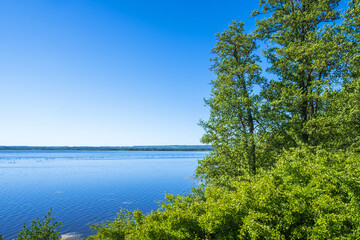 Obraz na płótnie Canvas Deciduous forest by a lake in sunshine