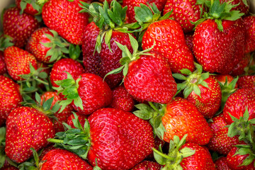 A plate with ripe juicy strawberries. plate with freshly picked strawberries, Harvesting berries, Healthy food, Organic food.