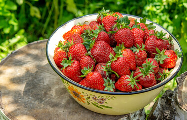 A plate with ripe juicy strawberries. plate with freshly picked strawberries, Harvesting berries, Healthy food, Organic food.