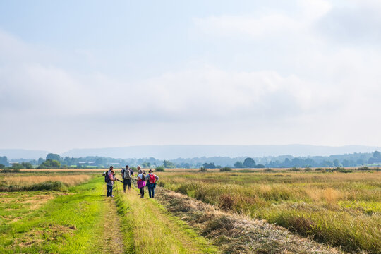 Group of friends on an excursion in a rural meadow landscape