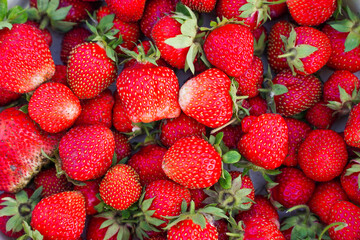 Rustic Strawberry. Fresh organic berries macro. Red background