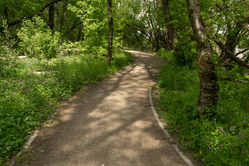 Naklejka premium Old Road Texture Background, Sidewalk Pattern, Pathway Wallpaper