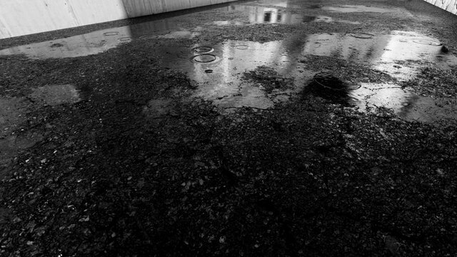 wet street night