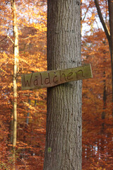 Ein Schild im Wald auf dem Wäldchen geschrieben steht