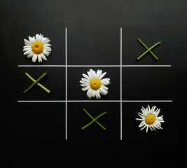 Tic tac toe on a black background made of chamomile flowers and flower twigs.