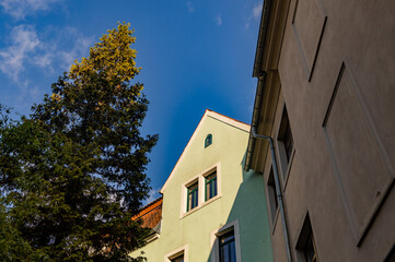 Facade of a residential building illuminated by the sun. two different houses stand next to a green tree. 
