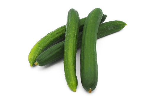 12 813 Best キュウリ Images Stock Photos Vectors Adobe Stock