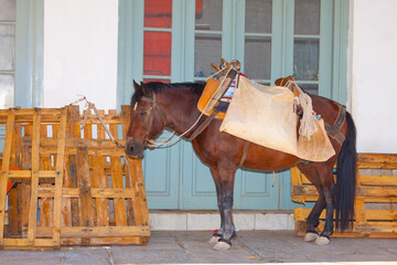 Donkey resting under shadow in Hydra island Greece - 440221652
