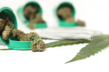 Legal Marijuana Buds and CBD Hemp Flowers With Green Leaf