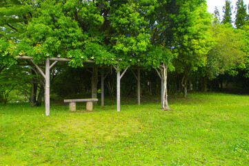 緑に囲まれた中にある木製のベンチ