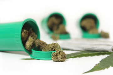 Legal Marijuana Buds and CBD Hemp Flowers With Green Leaf