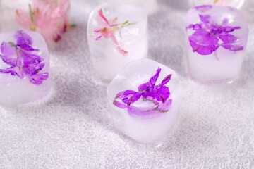 Purple flowers frozen in ice cubes on light gray background with copy space