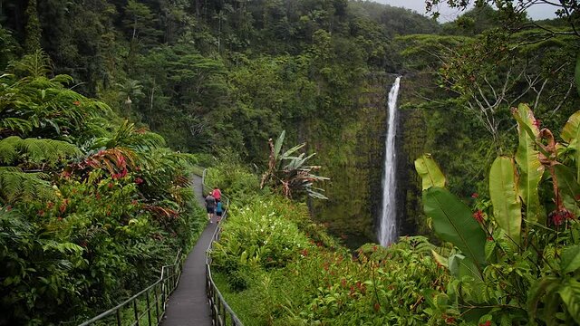 People arriving to Akaka Falls in Akaka Falls State Park, Big Island of Hawaii. Mid angle, parallax movement, slow motion, HD.