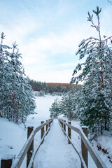 Wooden stairs leading to a frozen lake. Pine trees covered with snow in the winter wonderland.