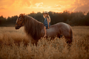 Little girl with red tinker horse (Gypsy cob) in oats evening field - 440225230