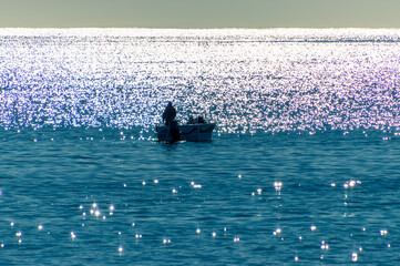 Sparkling Morning Fish on the Deep Blue Sea
