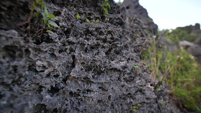 Volcanic rock at Crouching Lion lookout in Oahu, Hawaii. Mid angle, traveling movement, slow motion, HD.