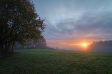 Golden sunrise over misty meadows