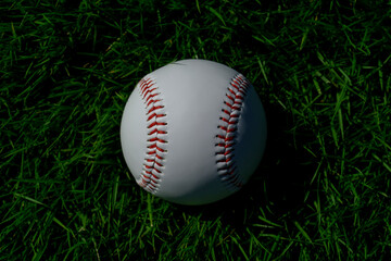 Baseball ball on the lawn.  芝生の上の野球ボール