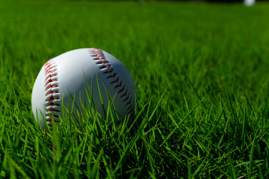 Baseball ball on the lawn.  芝生の上の野球ボール
